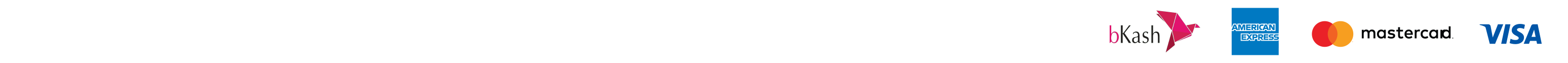 Payment Supports